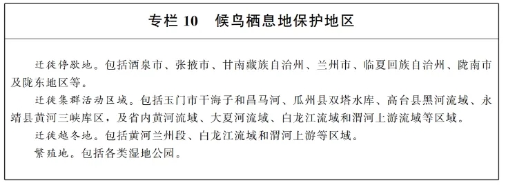 577cb94529ac1f680b9a4ab8db25ce62.jpg 11.webp.jpg